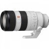 Sony alpha 1 II + FE 70-200mm f/2.8 GM OSS II + 2 SanDisk 512GB Extreme PRO UHS-II SDXC + 3 Sony NP-FZ100-10