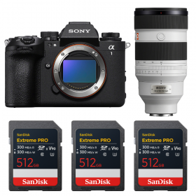 Sony alpha 1 II + FE 50-150mm f/2 GM + 3 SanDisk 512GB Extreme PRO UHS-II SDXC-1