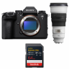 Sony alpha 1 II + FE 300mm f/2.8 GM OSS + 1 SanDisk 64GB Extreme PRO UHS-II SDXC-1