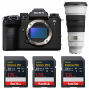 Sony alpha 1 II + FE 300mm f/2.8 GM OSS + 3 SanDisk 128GB Extreme PRO UHS-II SDXC-1