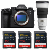 Sony alpha 1 II + FE 300mm f/2.8 GM OSS + 3 SanDisk 256GB Extreme PRO UHS-II SDXC-1