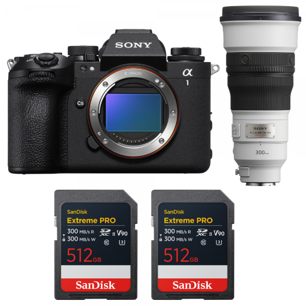Sony alpha 1 II + FE 300mm f/2.8 GM OSS + 2 SanDisk 512GB Extreme PRO UHS-II SDXC-1