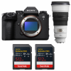 Sony alpha 1 II + FE 300mm f/2.8 GM OSS + 2 SanDisk 512GB Extreme PRO UHS-II SDXC-1