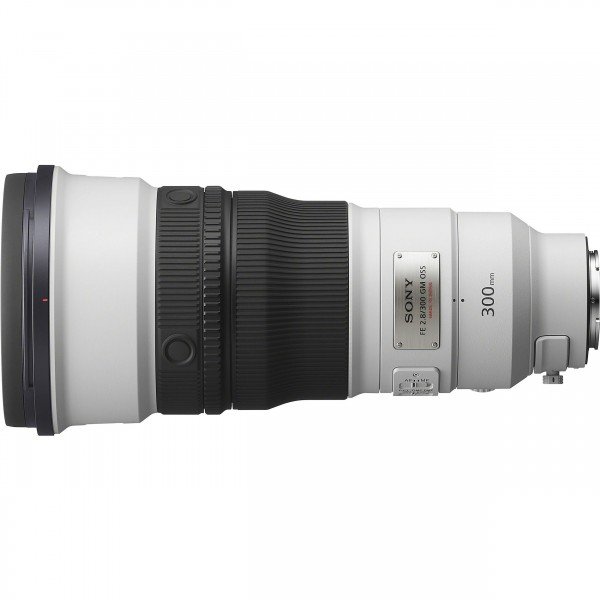 Sony alpha 1 II + FE 300mm f/2.8 GM OSS + 2 SanDisk 512GB Extreme PRO UHS-II SDXC-9