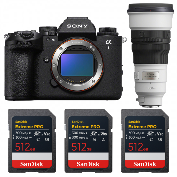 Sony alpha 1 II + FE 300mm f/2.8 GM OSS + 3 SanDisk 512GB Extreme PRO UHS-II SDXC-1
