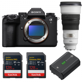 Sony alpha 1 II + FE 300mm f/2.8 GM OSS + 2 SanDisk 128GB Extreme PRO UHS-II SDXC + Sony NP-FZ100-1
