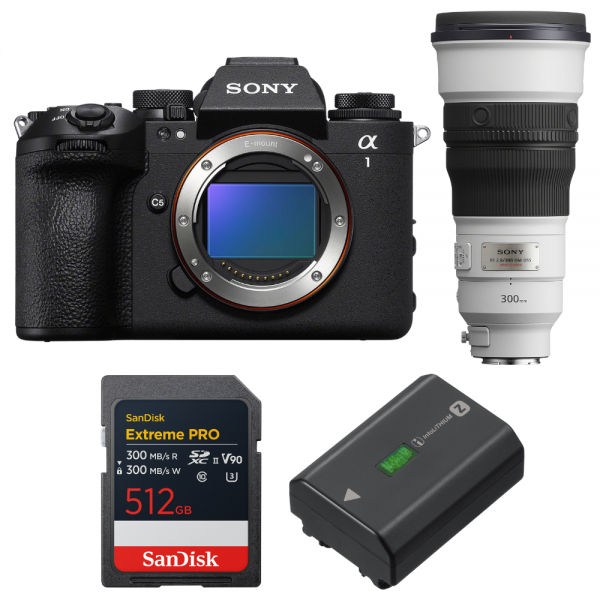 Sony alpha 1 II + FE 300mm f/2.8 GM OSS + 1 SanDisk 512GB Extreme PRO UHS-II SDXC + Sony NP-FZ100-1