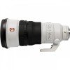 Sony alpha 1 II + FE 300mm f/2.8 GM OSS + 2 SanDisk 512GB Extreme PRO UHS-II SDXC + Sony NP-FZ100-10