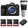 Sony alpha 1 II + FE 300mm f/2.8 GM OSS + 3 SanDisk 512GB Extreme PRO UHS-II SDXC + Sony NP-FZ100-1