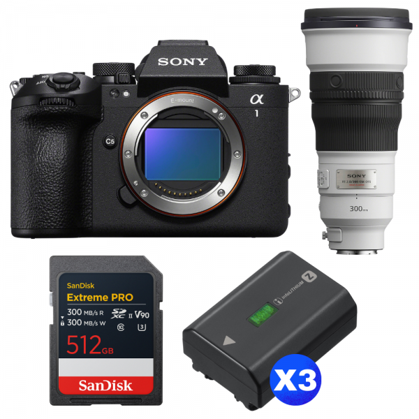 Sony alpha 1 II + FE 300mm f/2.8 GM OSS + 1 SanDisk 512GB Extreme PRO UHS-II SDXC + 3 Sony NP-FZ100-1