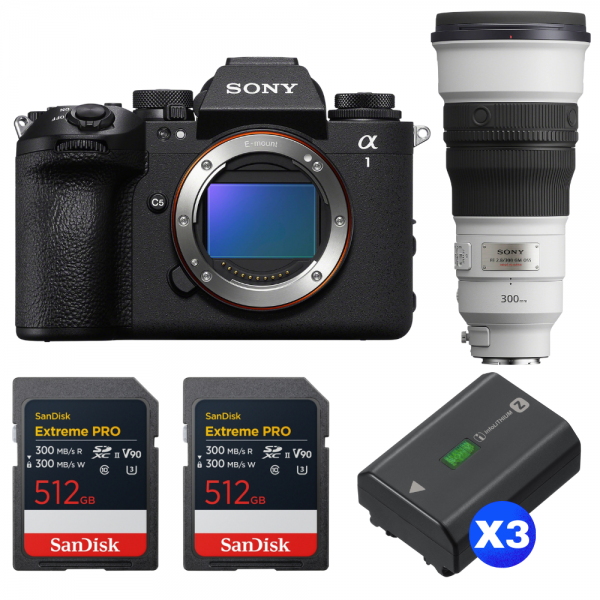 Sony alpha 1 II + FE 300mm f/2.8 GM OSS + 2 SanDisk 512GB Extreme PRO UHS-II SDXC + 3 Sony NP-FZ100-1