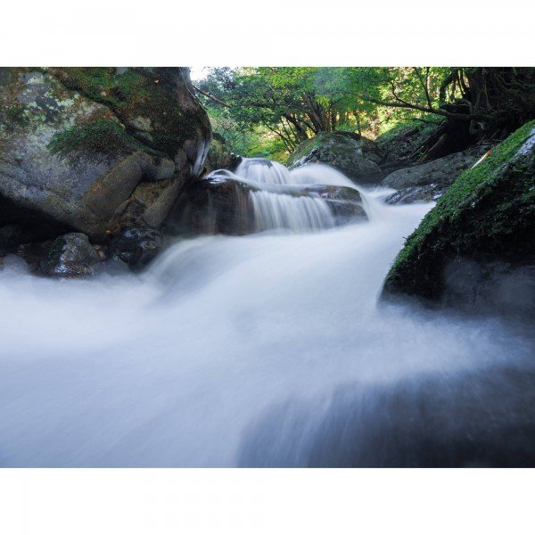 OM SYSTEM OM-5 Mark II Black + 40-150mm f/4 PRO + 2 SanDisk 512GB Extreme PRO UHS-II SDXC-5