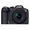 Canon EOS R7 + RF-S 18-150mm F3.5-6.3 IS STM-6