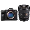 Sony A1 + FE 24mm f/1.4 GM - Mirrorless camera-1