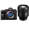 Sony A1 + FE 85mm f/1.4 GM-1