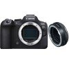 Canon EOS R6 Mark II + Canon EF-EOS R Premium-1