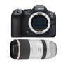 Canon EOS R6 Mark II + RF 100-500mm f/4.5-7.1 L IS USM - Camara mirrorless-1