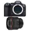 Canon EOS R6 Mark II + RF 85mm f/1.2 L USM-1