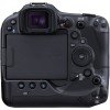 Canon EOS R3 + RF 100-400mm f/5.6-8 IS USM - Camara mirrorless-5