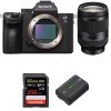 Sony A7 III + FE 24-240 mm F3.5-6.3 OSS + SanDisk 256GB Extreme PRO UHS-I SDXC 170 MB/s + NP-FZ100-1