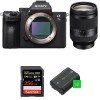 Sony A7 III + FE 24-240 mm F3.5-6.3 OSS + SanDisk 256GB Extreme PRO UHS-I SDXC 170 MB/s + 2 NP-FZ100-1