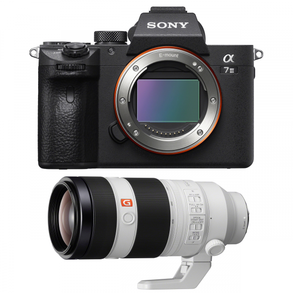 Sony A7 III + Sony FE 100-400mm F4.5-5.6 GM OSS-2