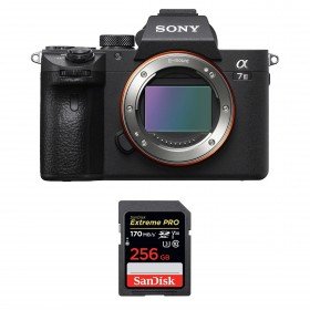 Sony A7 III Nu + SanDisk 256GB Extreme PRO UHS-I SDXC 170 MB/s-2