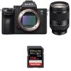 Sony A7 III + FE 24-240 mm F3.5-6.3 OSS + SanDisk 256GB Extreme PRO UHS-I SDXC 170 MB/s-2