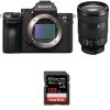 Sony Alpha 7 III + FE 24-105 mm f/4 G OSS + SanDisk 128GB Extreme PRO UHS-I SDXC 170 MB/s-2