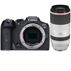 Canon EOS R7 + RF 100-500mm F4.5-7.1 L IS USM-2