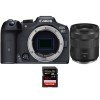 Canon EOS R7 + RF 85mm F2 Macro IS STM + 1 SanDisk 32GB Extreme PRO UHS-II SDXC 300 MB/s-2