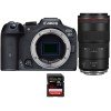 Canon EOS R7 + RF 100mm F2.8 L Macro IS USM + 1 SanDisk 32GB Extreme PRO UHS-II SDXC 300 MB/s-2