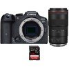 Canon EOS R7 + RF 100mm F2.8 L Macro IS USM + 1 SanDisk 128GB Extreme PRO UHS-II SDXC 300 MB/s-2