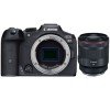 Canon EOS R7 + RF 50mm F1.2 L USM-2