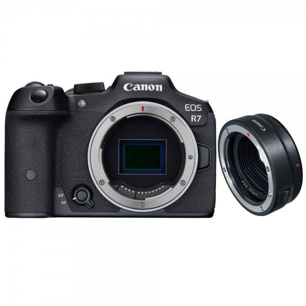 Canon EOS R7 + Canon EF-EOS R - Mirrorless Camera-2