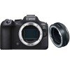 Canon EOS R6 Mark II + Canon EF-EOS R Premium-2