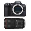 Canon EOS R6 Mark II + RF 100mm f/2.8 L Macro IS USM - Camara mirrorless-2