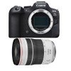 Canon EOS R6 Mark II + RF 70-200mm f/4 L IS USM-2