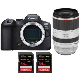 Canon EOS R6 Mark II + RF 70-200mm f/2.8 L IS USM + 2 SanDisk 64GB Extreme PRO UHS-II SDXC 300 MB/s-2