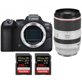Canon EOS R6 Mark II + RF 70-200mm f/2.8 L IS USM + 2 SanDisk 256GB Extreme PRO UHS-II SDXC 300 MB/s-2