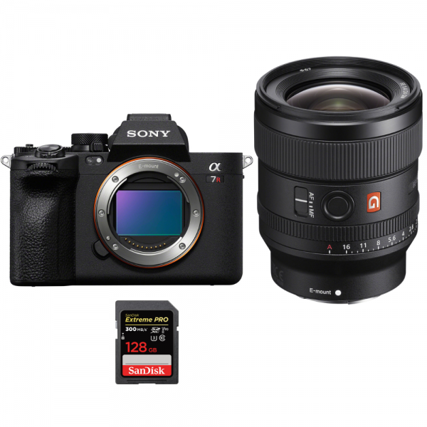 Sony A7R V + FE 24mm f/1.4 GM + 1 SanDisk 128GB Extreme PRO UHS-II SDXC 300 MB/s-2