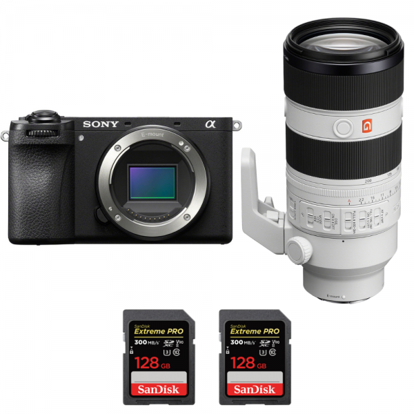 Sony A6700 + FE 70-200mm f/2.8 GM OSS II + 2 SanDisk 128GB Extreme PRO UHS-II SDXC 300 MB/s-2
