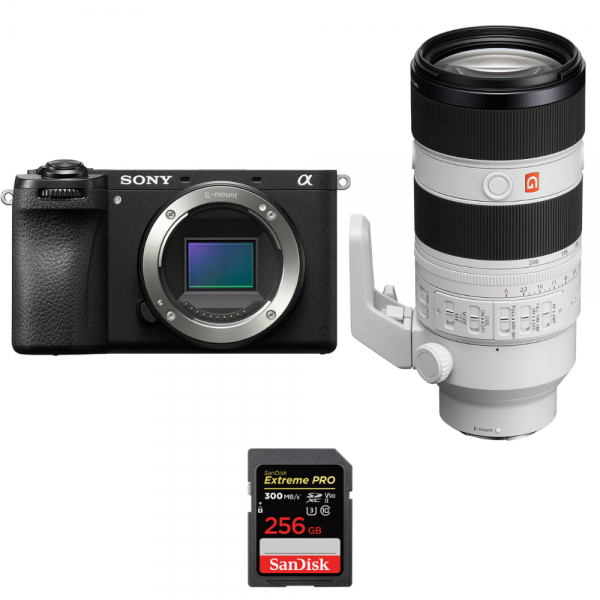 Sony A6700 + FE 70-200mm f/2.8 GM OSS II + 1 SanDisk 256GB Extreme PRO UHS-II SDXC 300 MB/s-2