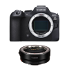 Canon EOS R6 Mark II + EF-EOS R-2