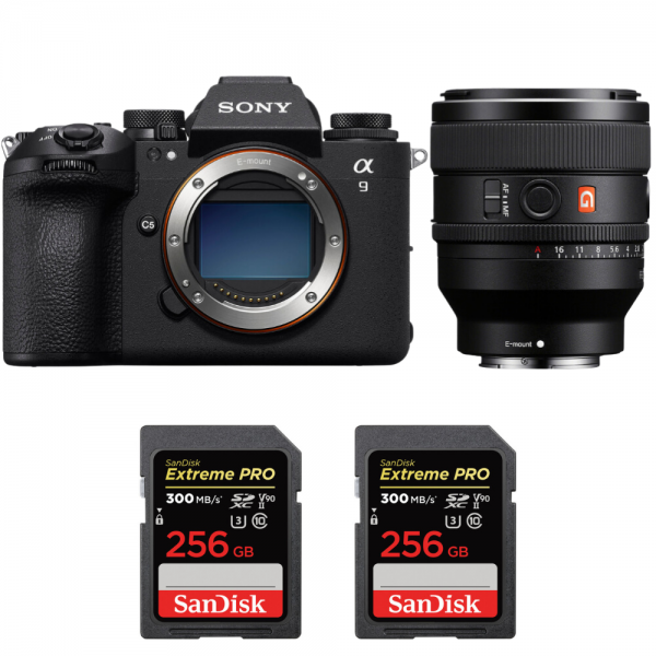 Sony A9 III + FE 50mm f/1.4 GM + 2 SanDisk 256GB Extreme PRO UHS-II SDXC 300 MB/s-1