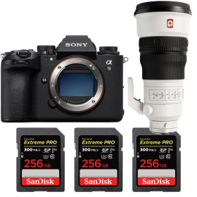 Sony A9 III + FE 300mm f/2.8 GM OSS + 3 SanDisk 256GB Extreme PRO UHS-II SDXC 300 MB/s-1