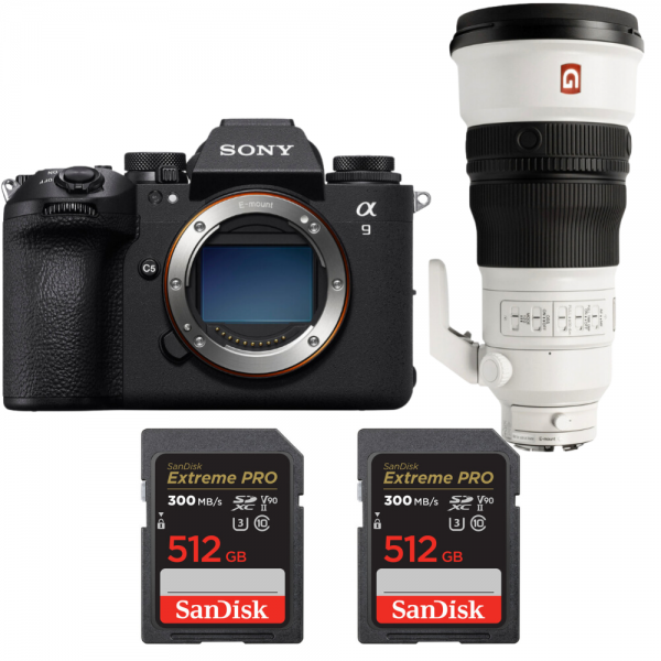Sony A9 III + FE 300mm f/2.8 GM OSS + 2 SanDisk 512GB Extreme PRO UHS-II SDXC 300 MB/s-1