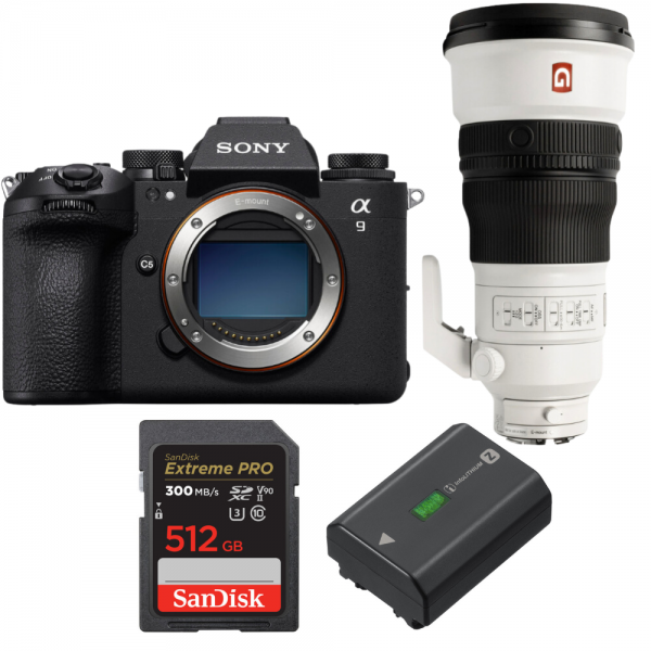 Sony A9 III + FE 300mm f/2.8 GM OSS + 1 SanDisk 512GB Extreme PRO UHS-II SDXC 300 MB/s + 1 Sony NP-FZ100-1