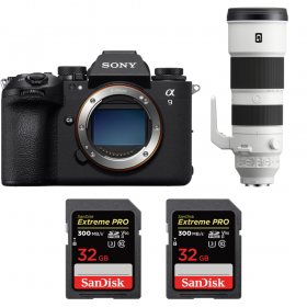 Sony A9 III + FE 200-600mm f/5.6-6.3 G OSS + 2 SanDisk 32GB Extreme PRO UHS-II SDXC 300 MB/s-1