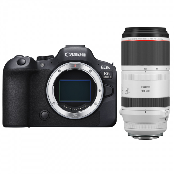 Canon EOS R6 Mark II + RF 100-500mm f/4.5-7.1 L IS USM-1